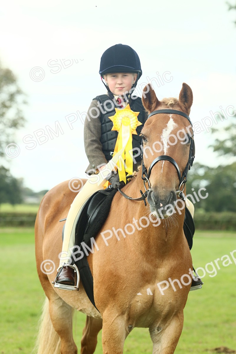 SBM_62548 - S62 - Foreign Breeds Ridden