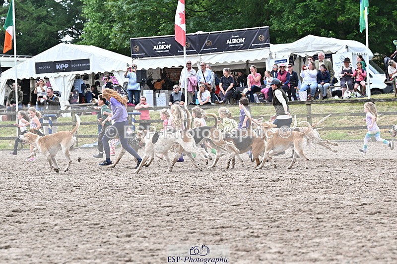 250524A-152924-12805 - East Devon Hounds