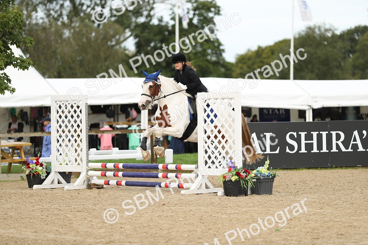 SBM_02028 - J34 - Veteran Rider 50cm