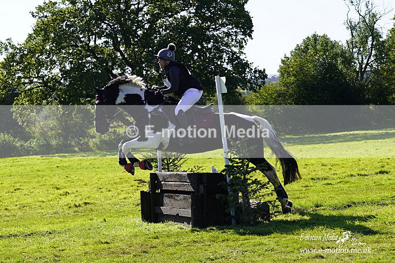  WWHT 031021 1259 - Open Novice (0.80m) 03/10/21