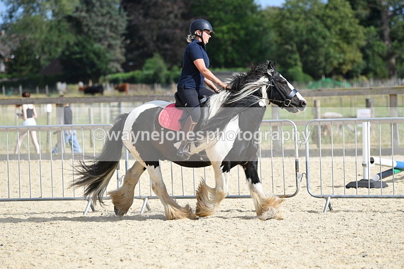 WJ5_5759 - Poles off the floor