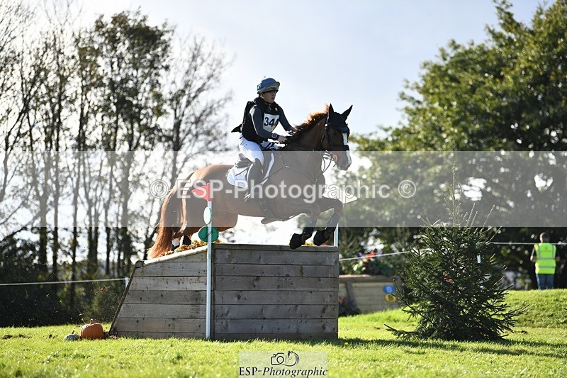 231022-143705-29047 - 344-GLOBAL.EXOTIC-Jemima.Stratton-XC