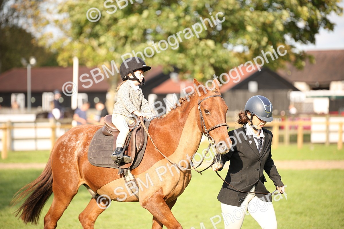 SBM_54289 - S27 - Mature Veteran - Ridden