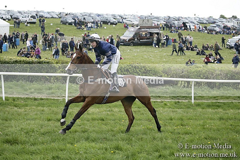 PtP 170417 498 - Old Berks Point-to-Point Lockinge 17/04/17
