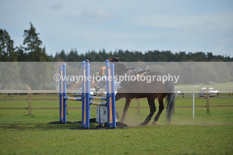 NGP_3412 - Time 15:12 to 15:46