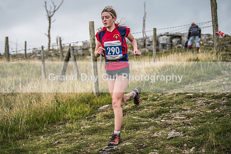 Year 10-11-273 - The English Schools Fell Running Championship Giggleswick Year 10-11 Sunday 6th October 2024
