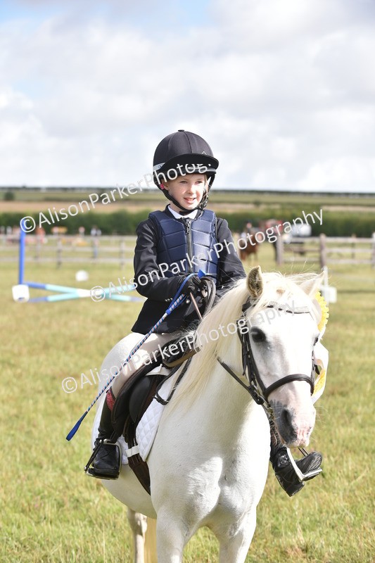 20250831-0504 - Class 7 - Absolute Novice 35cm