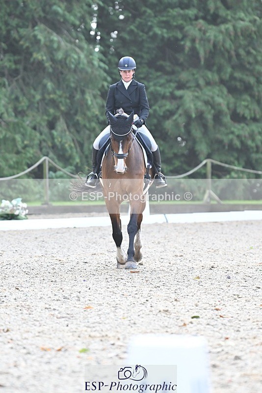 231019-110341-02033 - 105-BRIGHT.KNIGHT.III-Janet.Clarke-DR