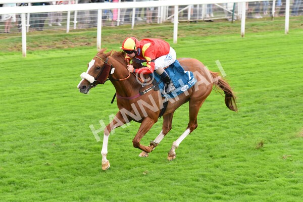 yr04092022r3-34 - Race 3 2.55pm The Elevator Company Garrowby Stakes