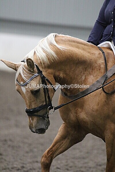 SIAL5533 - CAbin Dressage 5th july 2025