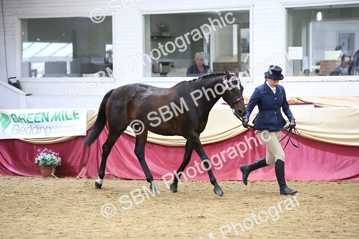 SBM_23636 - Class 904 - Supreme Final - Ridden Diamond