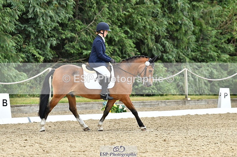 260801A-125628-04098 - Prelim Bronze Break - End
