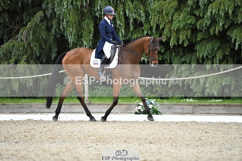 230525-143714-03150 - 322-CHANSON_DU_VILLAGE-Phoebe_Locke-WEDTrotUp+DR