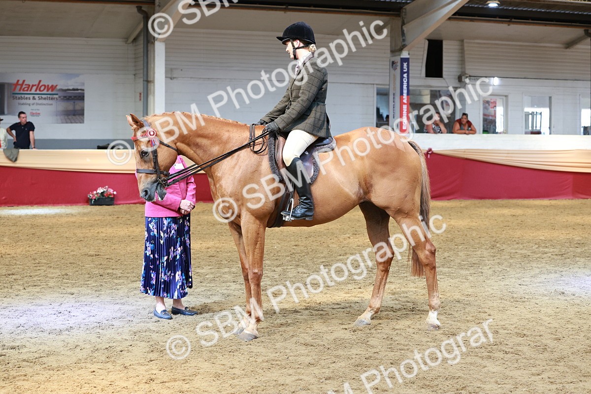 SBM_14934 - Class 108 - Ridden Retired Racehorse
