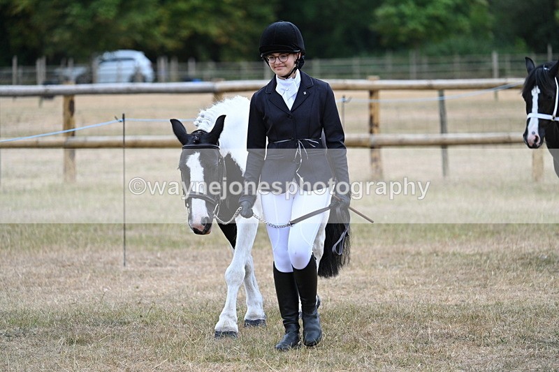 WJ7_8028 - Class 4 Prettiest Mare up to 14.2hh