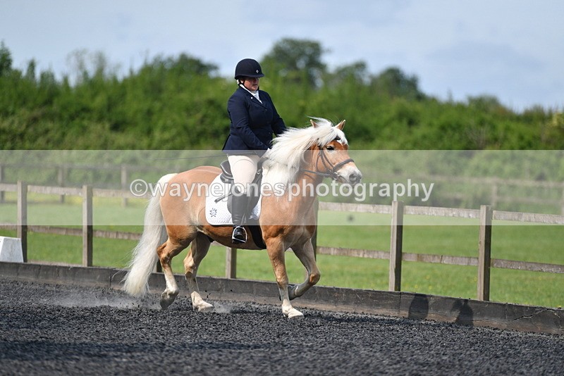 WJ5_9229 - Time 10:10 to 10:47