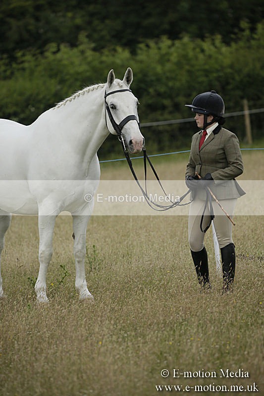 B230619-0254 - Bourne Valley Riding Club Summer Show 23/06/19
