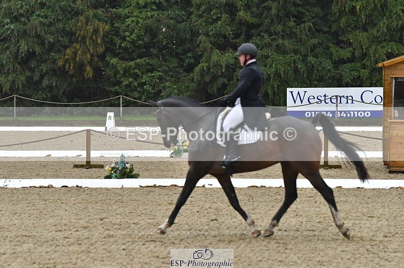 231018-153506-00814 - 011-BIG.QUERLYBET.K.Z-Paul.Whitehead-DR