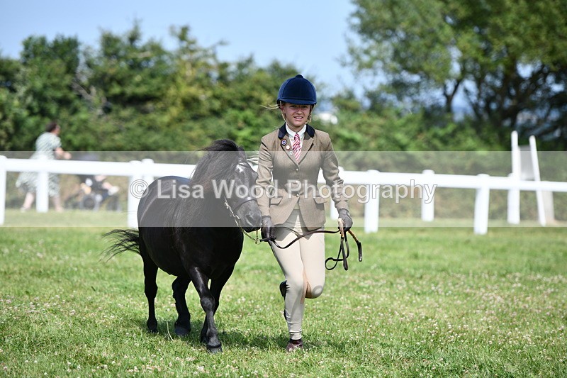 DSC_8175 - Class 67: Child Handler 11 - 16 years