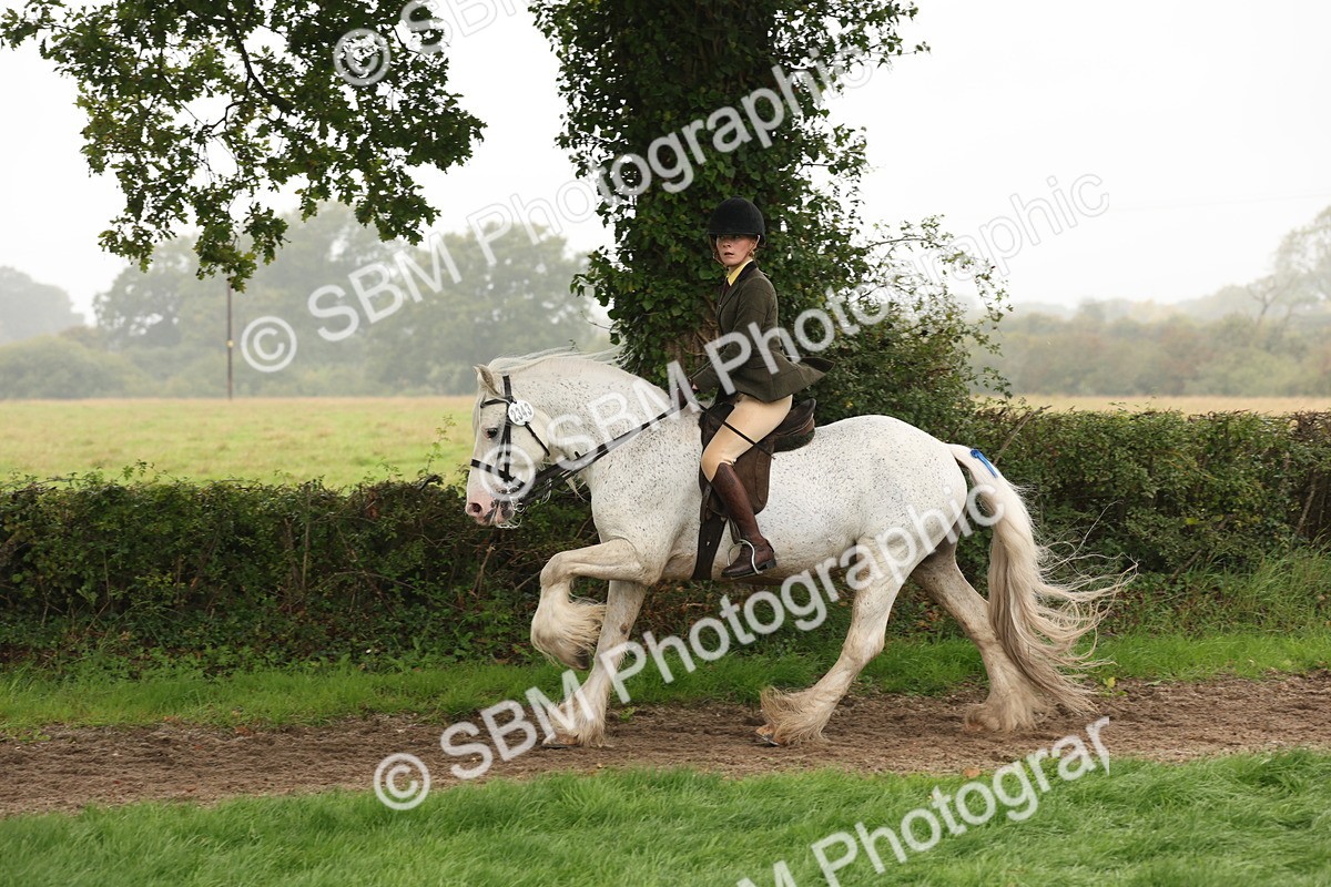 SBM_72724 - S70 - Traditional Cob Ridden