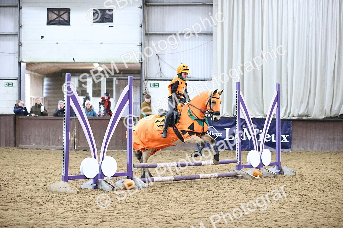 SBM_000545 - Class 2 - Show Jumping 50cm
