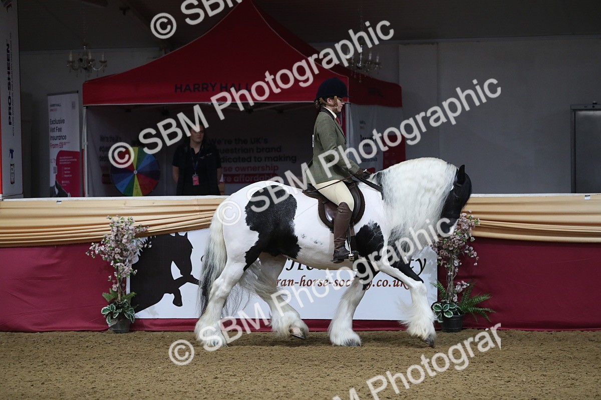 SBM_10348 - Class 102 Equitation (best rider) Adult