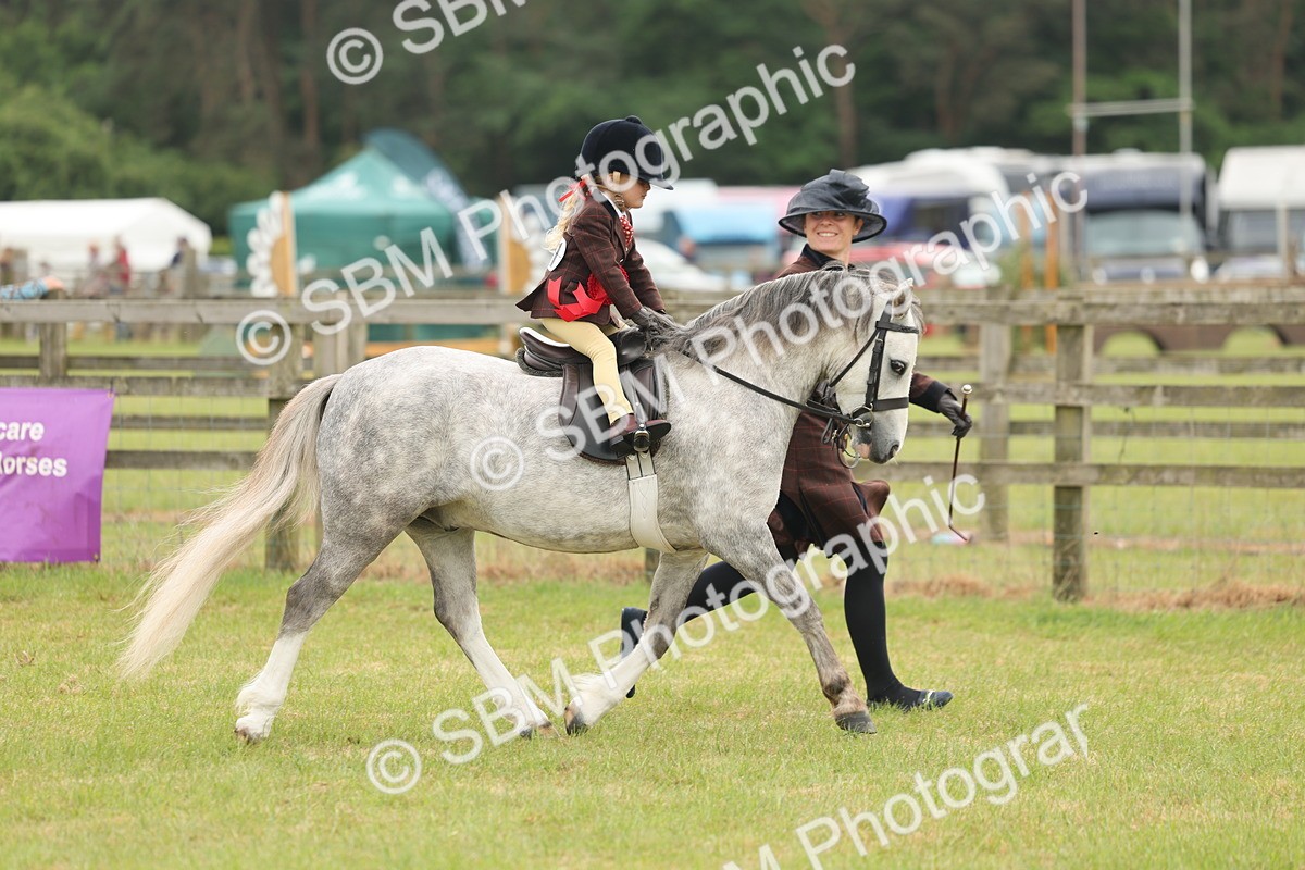 SBM_06934 - Class 74-75 - M&M Lead Rein and First Ridden Pony