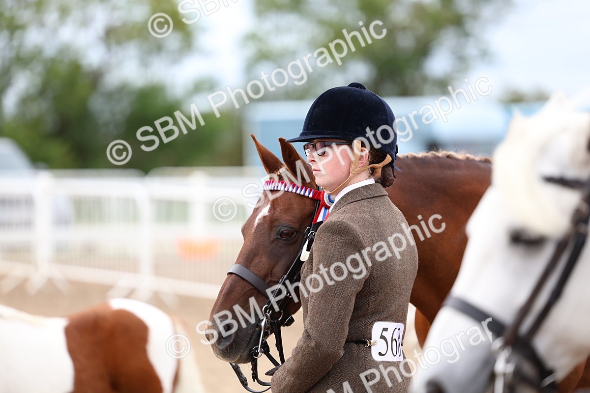 SBM_05938 - Class 29 - IH Veteran Pony