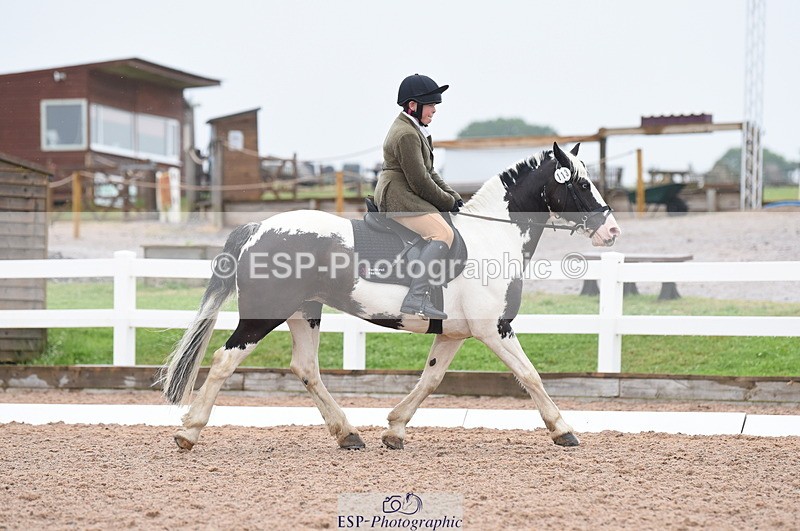 230708A-125004-01779 - Prelim 7