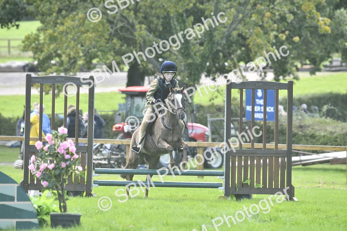 SBM_37194 - S31 - Novice & Newcomer Working Hunter Pony