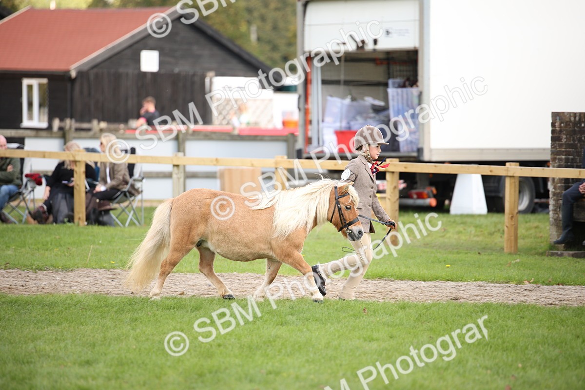 SBM_44366 - S24 - Young Veteran in hand