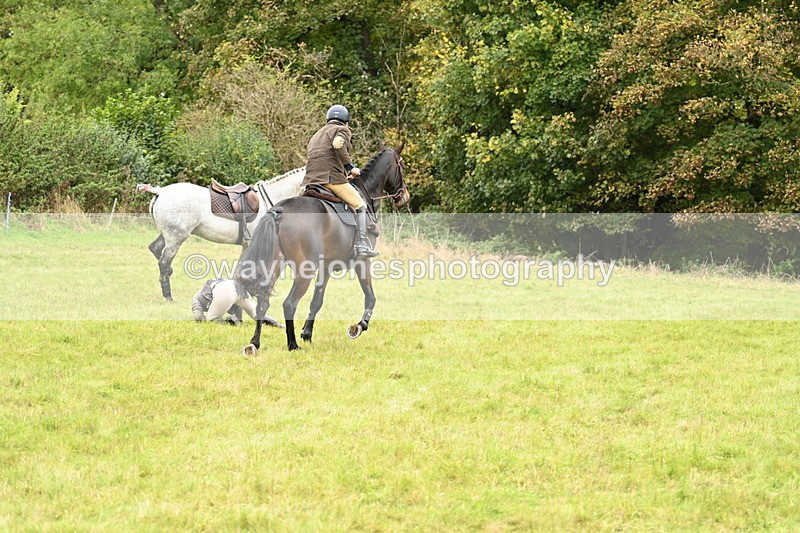 WJ7_4151 - Camera 1 Line 2