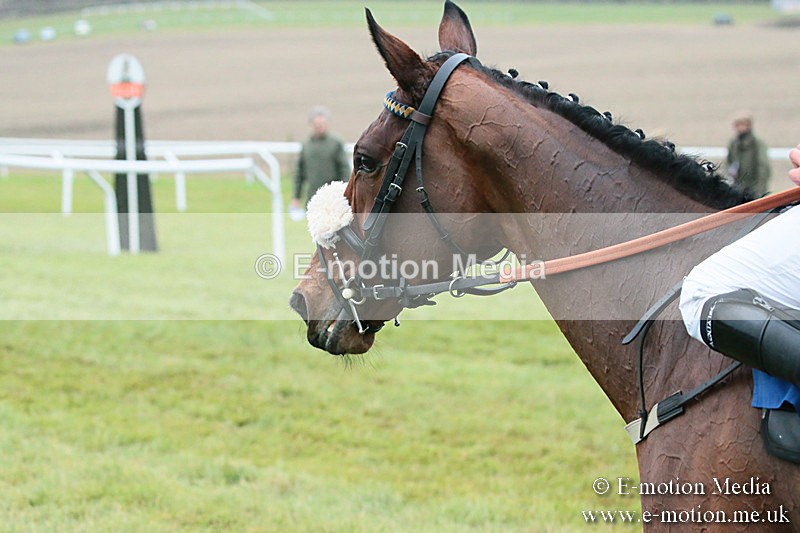 PtP 251118-277 - Vine & Craven Point-to Point Barbury Racecourse 25/11/18