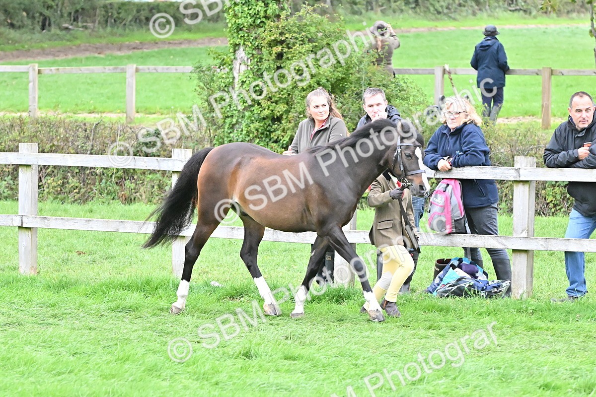 SBM_68524 - S42 - Junior Handler 9-12 Years