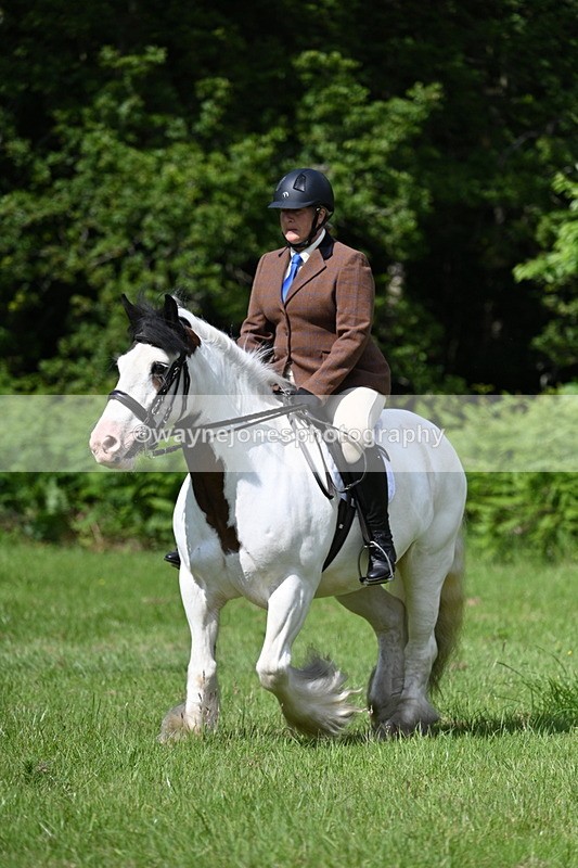 WJ7_1251 - Class 11 Condition & Turnout