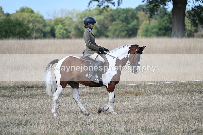 WJ7_6638 - Class 14 Ridden Coloured