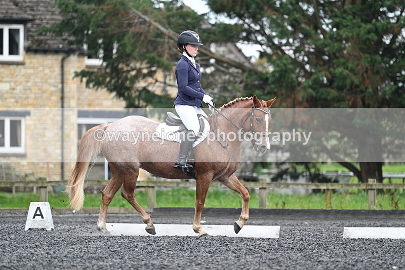 WJ7_3295 - Time 09:54 to 10:54