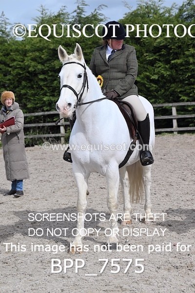 BPP_7575 - RING 1  (RIDDEN HORSES / IN HAND / VETERAN ETC)