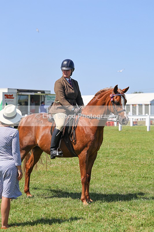 IMG_2232 - Class 37: Pure, Anglo & Part Bred Ridden Arab