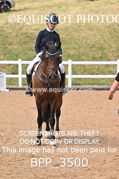 BPP_3500 - FRI CLASS 19 Junior 1.20 Open /Inc 148 Restricted Open **Viewing/Selection class for 148 teams**