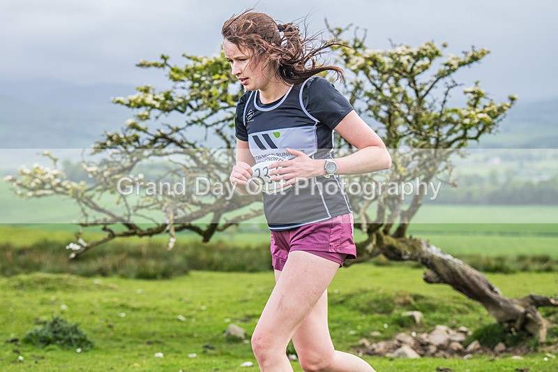 Hay-O-255 - Hay-O Trail Race Tuesday 19th May 2026