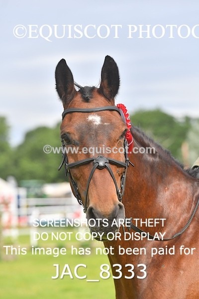 JAC_8333 - CLASS 1 BHS 1M SCONE QUALIFIER