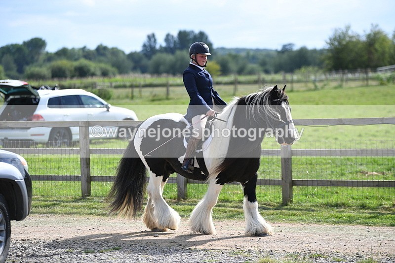 WJ5_7929 - Time 16:56 to 17:14