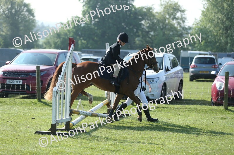 20250427-0854 - Class 1 - Mini Jumping Lead Rein or Assisted