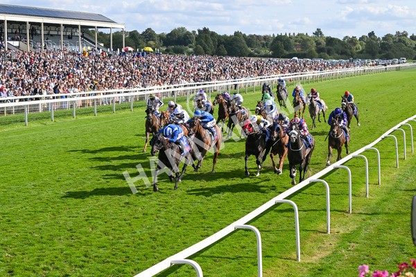 240824-Race 5-Elmonjed-1751 - Race 5 4.10pm Sky Bet Constantine Handicap