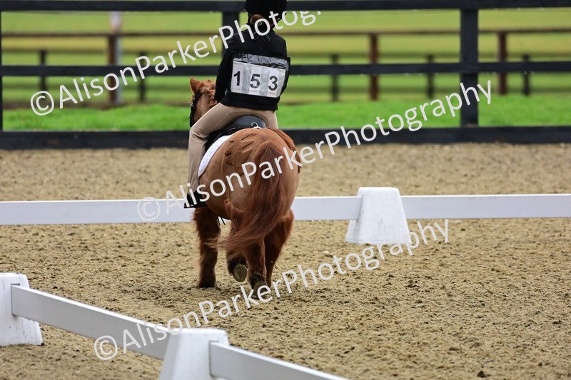 20260125-0553 - Class 9b - Walk Trot Unassisted