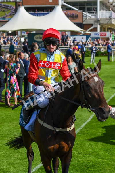 290723-Race 5-Baez-0748 - Race 5 4.35pm Sky Bet Prize Drop Handicap
