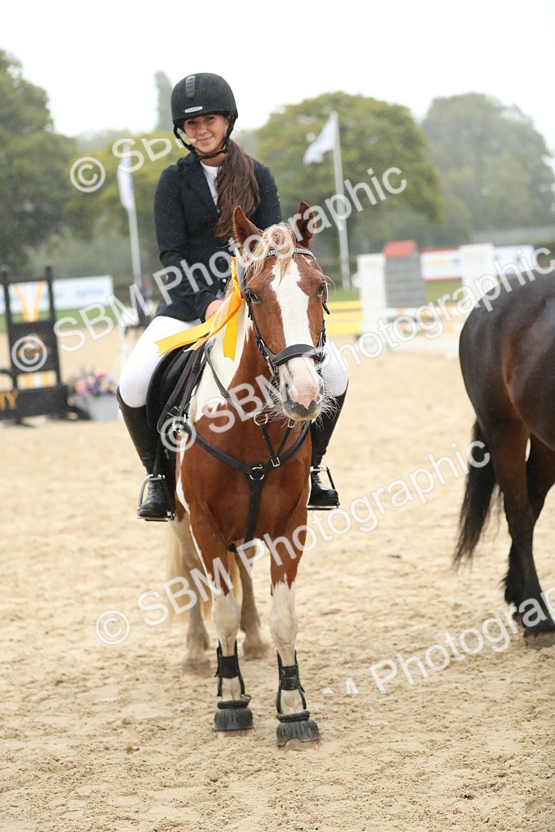 SBM_74126 - J16 - Junior Pony 75cm Championship