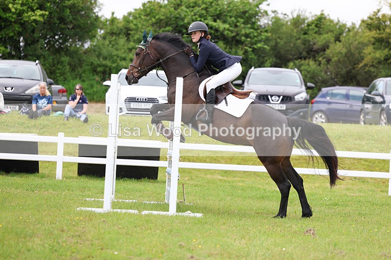 3E7A7210 - Class 13: Senior British Novice/90cm open