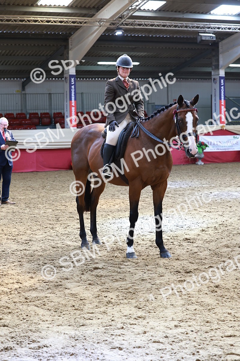 SBM_14969 - Class 108 - Ridden Retired Racehorse